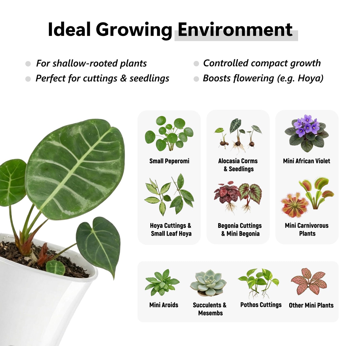 FYRIXONE 10 Pack 4" Self Watering Small White Plant Pots for Indoor Plants, Clear Inner Cup, Water Level Indicator, Drainage Holes & Wick, for Cuttings, Seedlings, Herb, African Violet, Hoya, Begonia