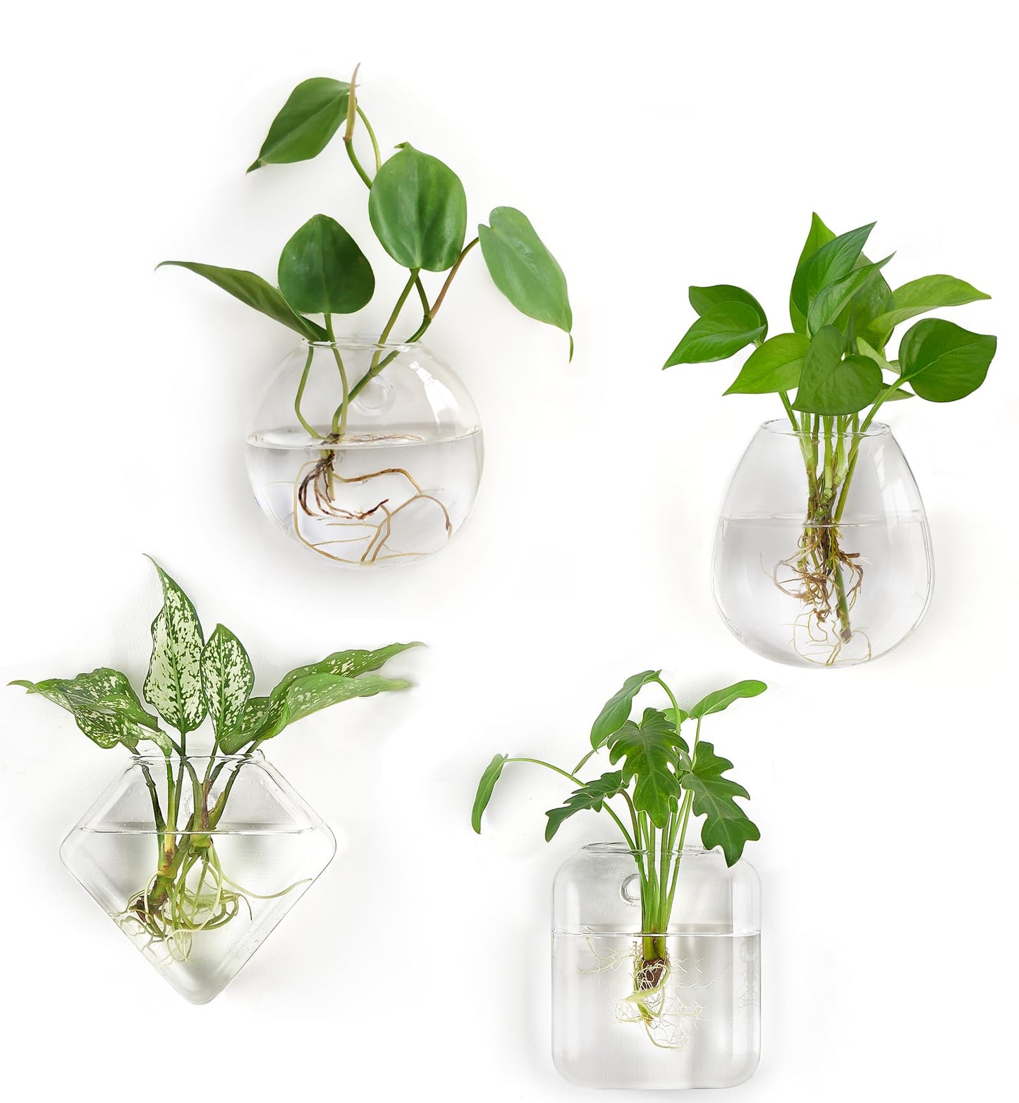 Mkono Propagation Wall Hanging Planter Glass Terrarium Flower Vases Holder for Indoor Plants, Home Living Room Office Decor Plant Lover Gifts, Set of 4(Plants not Included)