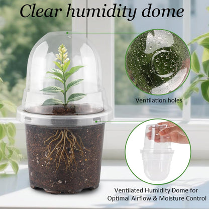 RooTrimmer Transparent Nursery Pots 4Inch with Humidity Domes for Seeds Starting, Clear Plastic Plant Pots with Drainage Holes (4Inch, 30Pcs,Clear Pots with Lids)
