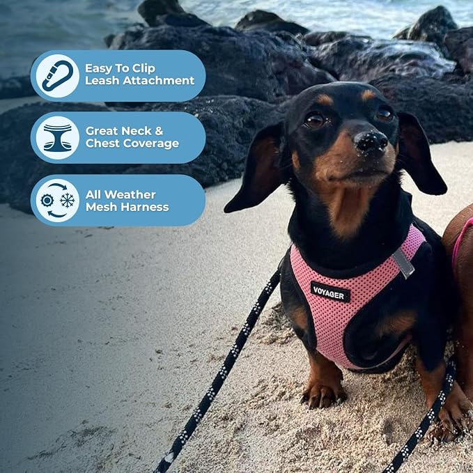 Best Pet Supplies Voyager Step-in Air All Weather Mesh Harness and Reflective Dog 5ft Leash Combo with Neoprene Handle, for Small, Medium and Large Breed Puppies - Pink/Black Trim, XX-Small