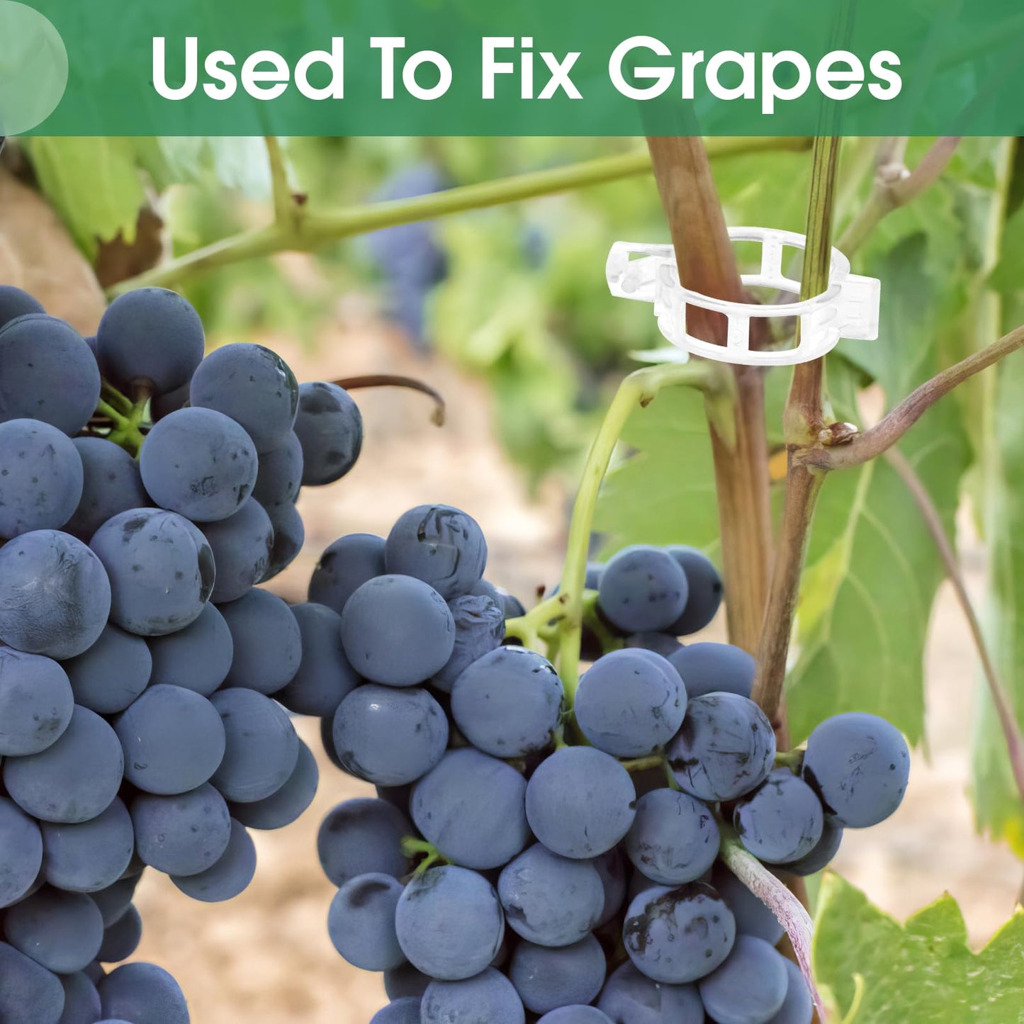 300 Pcs Plant Clips for Climbing Plants, Tomato Clips for Support, Plastic Garden Clips for Plants Grape Vine Vegetables Make Plant Grow Upright