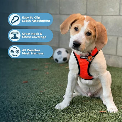 Best Pet Supplies Voyager Step-in Air All Weather Mesh Harness and Reflective Dog 5ft Leash Combo with Neoprene Handle, for Small, Medium and Large Breed Puppies - Orange/Black Trim, Large