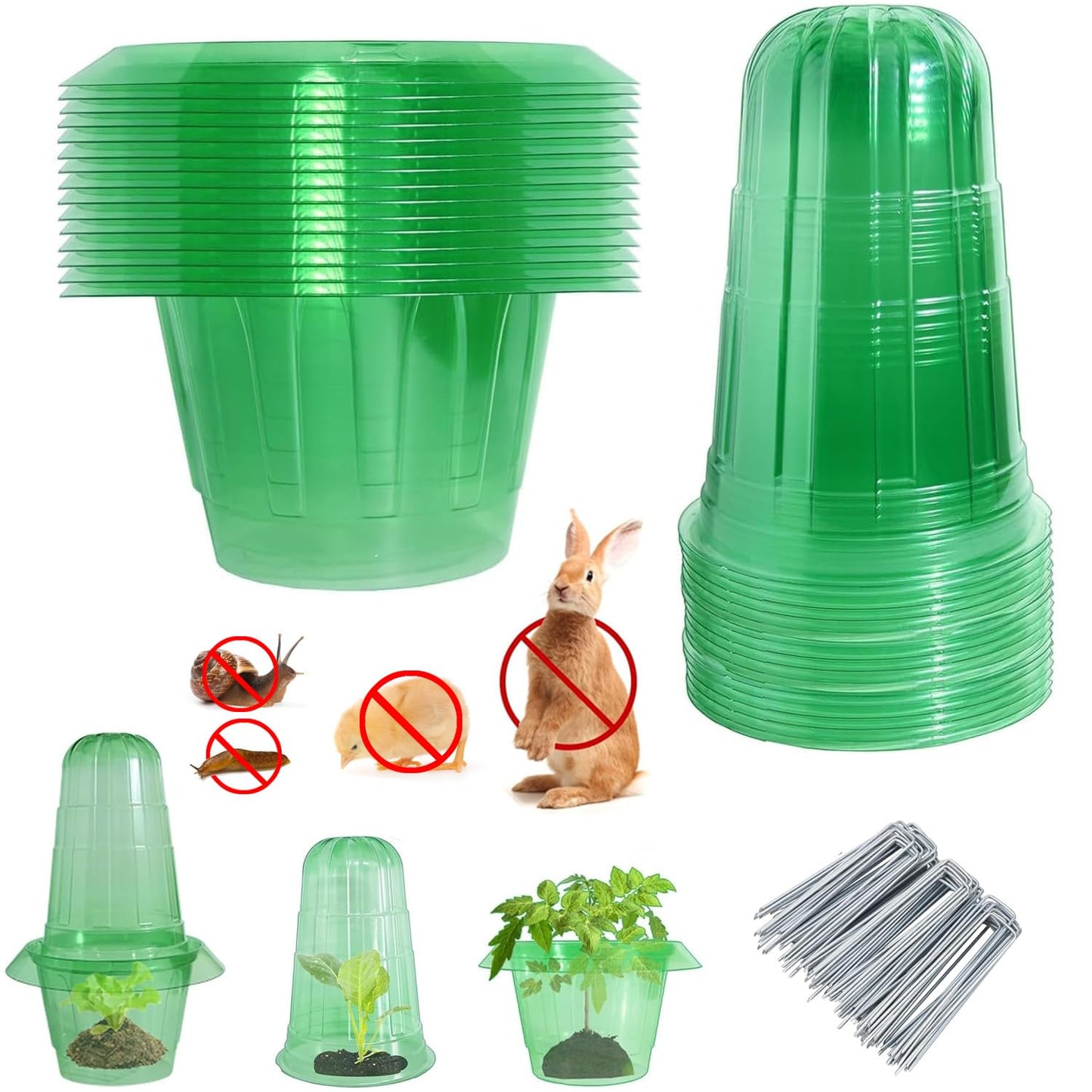 Slug Collars and Garden Cloches Set，Provides Effective Protection Against Snails for Your Salad Plants and Others Plants.(15 Pack)