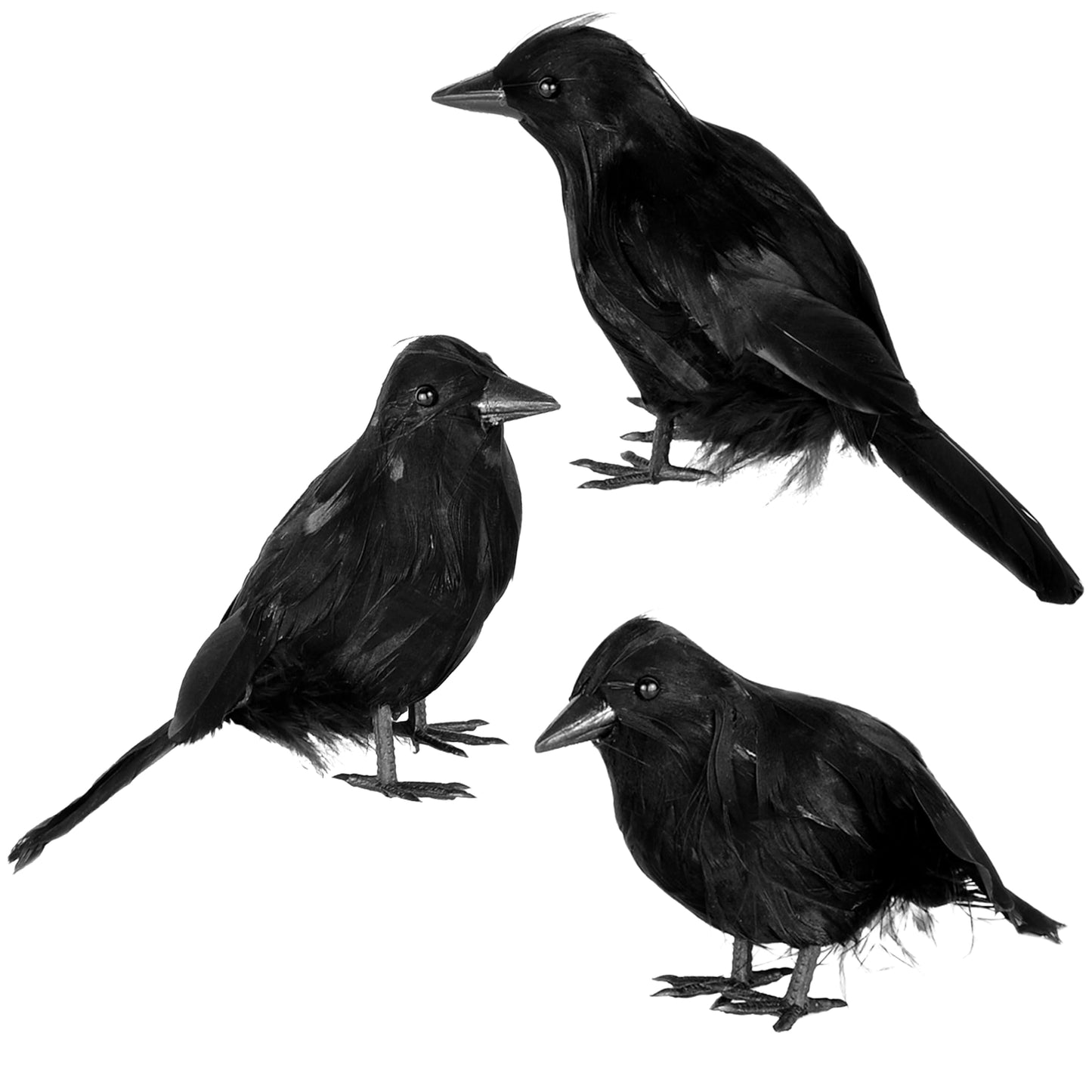 JOYIN Halloween Crow Raven 3Pcs Feather Bird, Black Prop Fake Birds Crows, Halloween Decorations for Haunted House Graveyard Cemetery Yard Table Party Favors