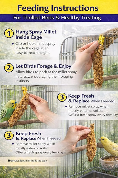 Farm to Feathers™ Wholesome Spray Bird Millet & Cuttlebone Bundle – USA Grown Millet Sprays for Parakeets, Budgies, Cockatiels, Finches & Canaries – 2 lb Wholesome Millet + 4” Cuttlebone (4 Pack)