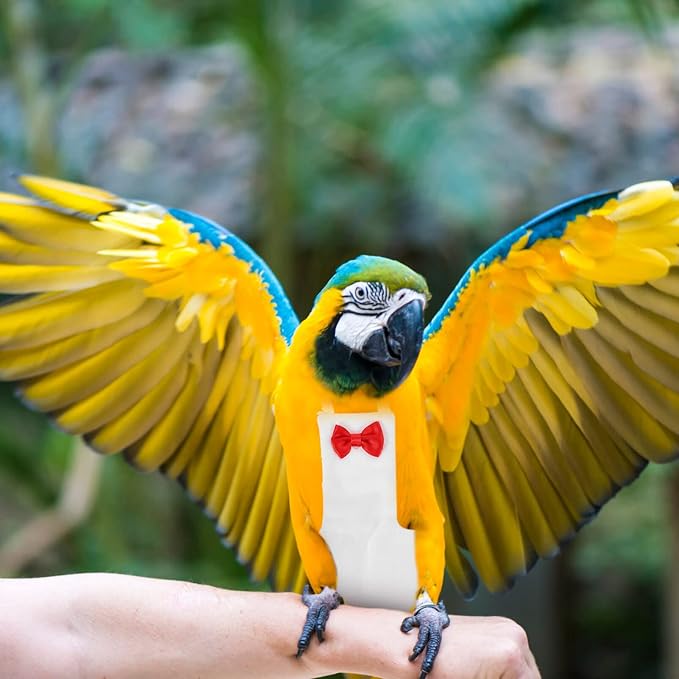 Generic Bird Diaper for Parrots Reusable and Washable Flight Suit for Outdoor Use Breathable Bird Clothes for Cockatiels and Parakeets