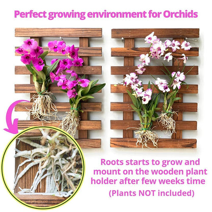 ShopLaLa Wall Planter - 2 Pack Wooden Orchid Planter Frame Display Outdoor Plants, Wall Mount Air Plants Succulent Holder Hanger, Vertical Garden Plant Wall Decor Macetas para Orquideas 15.7" (40cm)