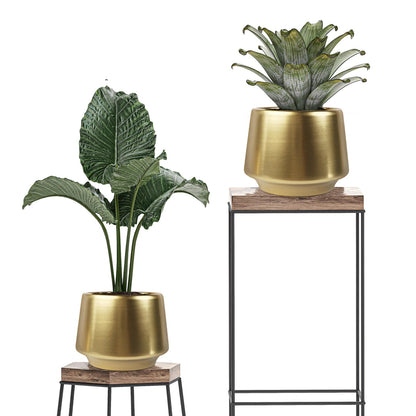 Decor Trends Gold Planter Flower Pots 6 inch Decorative Plant Pots for Indoor Gold Brass Succulent Plant Pots Containers (Dia 6 inch), Small 5.9‘’