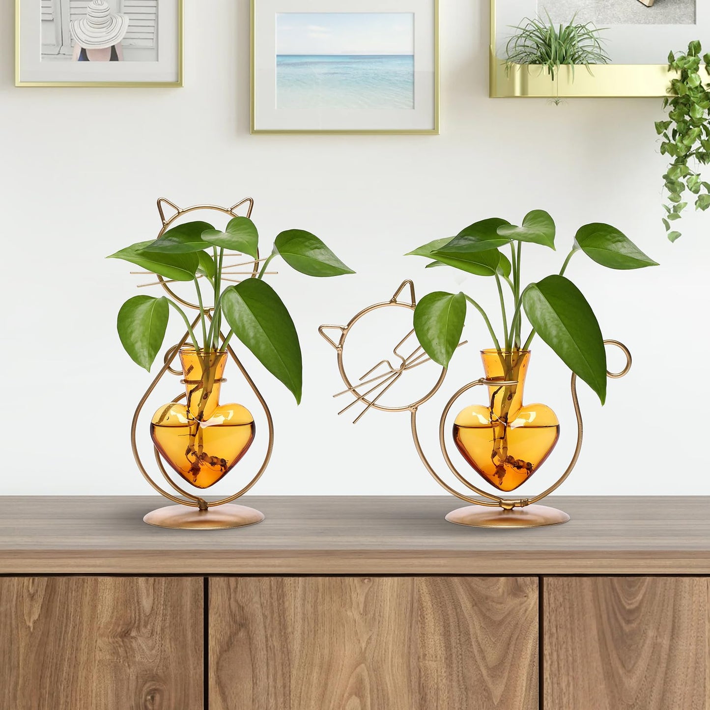 Plant Terrarium Plants Propagation Station Cat Lover Gifts for Women Home Office Decor Cat Desk Accessories