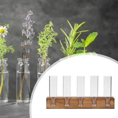 Gcljlmy Plant Terrarium Plant Propagation Station Planter Wooden Base Plants Glass Vase Unique Bud Vase 5 Glass Test Tubes Vase