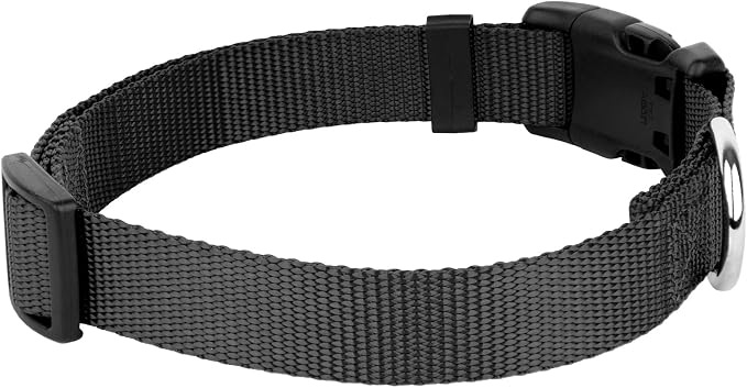 Country Brook Petz - Everyday Nylon Dog Collar and Leash - 10+ Cool Colors (3/4 Inch, Medium, Black)