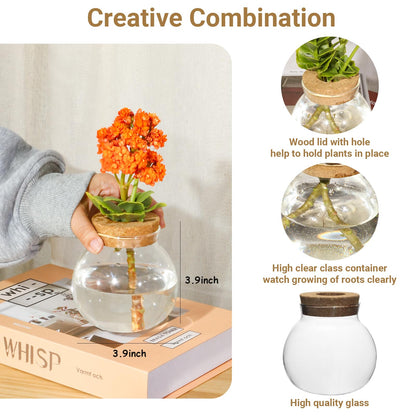 Plant Propagation Station,Hydroponic Terrarium Vase,Desktop Glass Planter Station,for Houses,Garden Decorations,ropagating Hydroponic Plants,Centerpiece Office,Home Garden Decor (4)