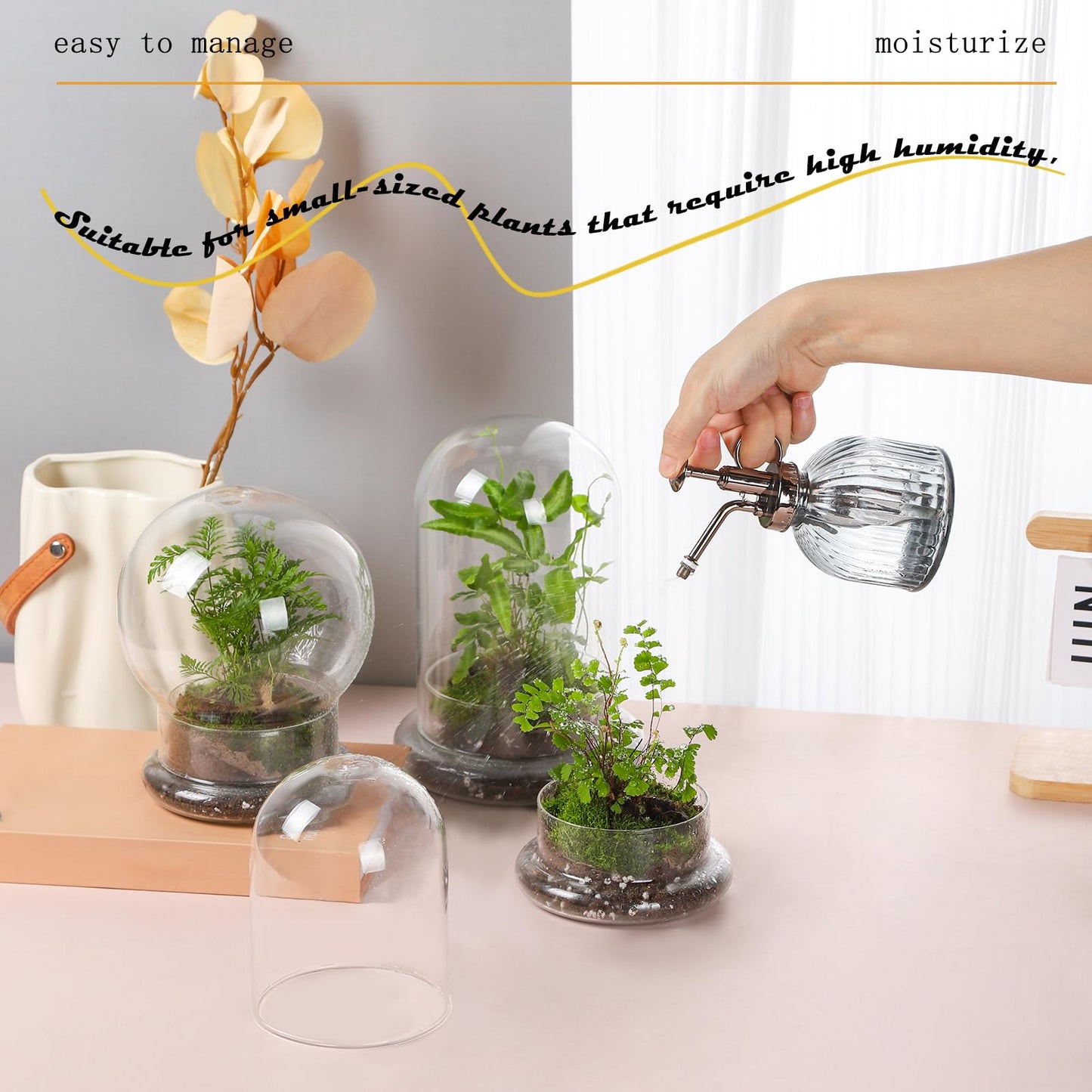 WHJY 8 inches Glass Cloche for Indoor Plants Small Terrarium Glass Cloche with Base Mini Cloche Dome with Base for Display Home Decor