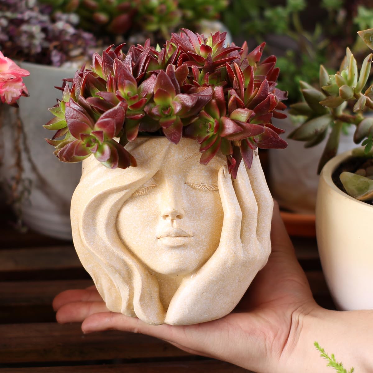 YOYLMAL Hand Holding Face Planter Pot, 5.1” Resin Women's Head Succulent Planter for Indoor Outdoor Plants, Unique Flower Pot with Drainage Hole, Gifts for Women Mom