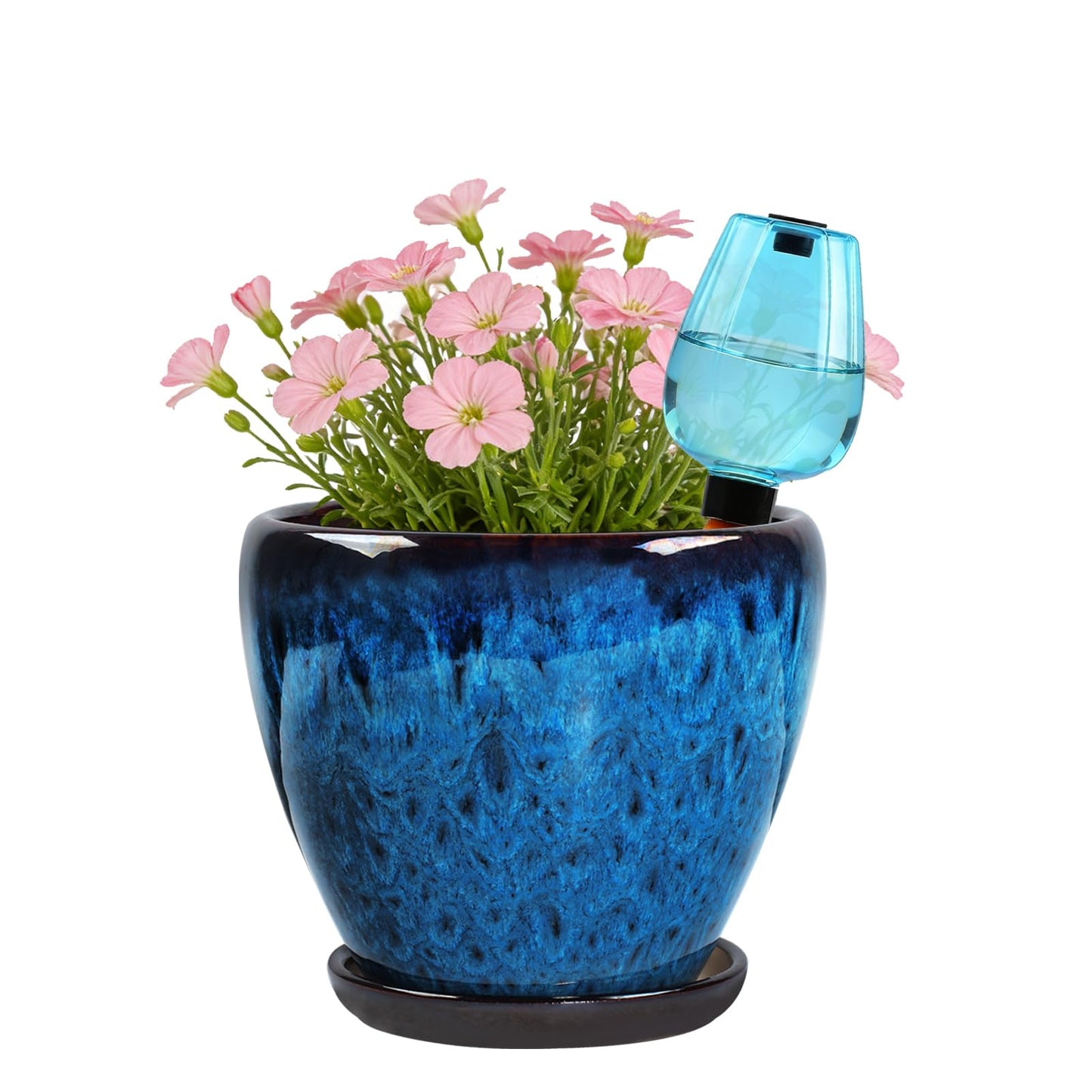 Xoogifae Ceramic Pots for Plant with Self Watering Globes, 6 inch Planters for Indoor Plants with Saucer, Glaze Flower Pots Outdoor with Drainage Holes, Decorative Garden Pots