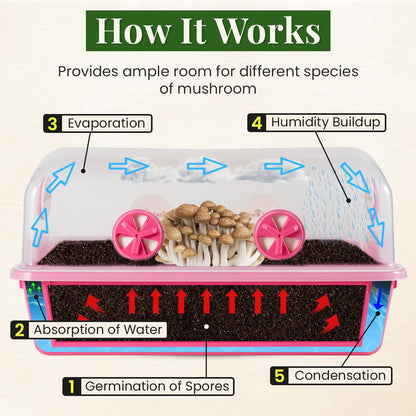 Gro Magik Premium Mushroom Monotub Grow Kit [XLarge, 68Q] Portable and Compact Fruiting Chamber with Plugs, Filters and Adjustable Air Vents, 22.8 x 15.7” x 12”, Pink