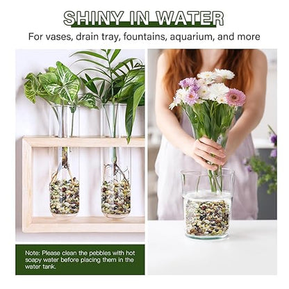 NUPICK 3 lbs Pebbles for Indoor Plants, 1/5 Inch Pea Gravel for Fish Tank, Polished Decorative Rocks for Succulent, Natural River Stones for Vases, Cactus, Landscaping, Bird Bath, Aquarium, Colorful