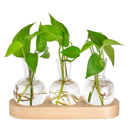 Mkono Desktop Plant Propagation Glass Vase Station Retro Plant Terrarium with Wooden Tray Bulb Flower Vase Container Perfect for Propagating Hydroponic Plants Home Office Decor Plant Lover Gift Idea