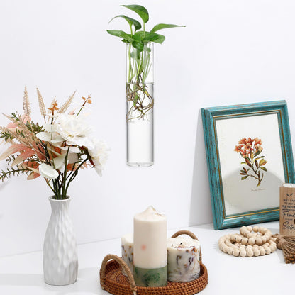 OSOLADY Wall Mounted Glass Cylinder Vases for Plants, Hanging Terrariums Water Propagation Stations, 2pcs Large Round Tube Holders for Indoor Home Décor