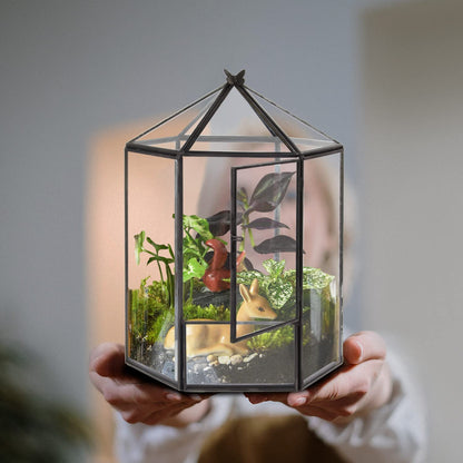 ELEGANTLIFE Glass Geometric Plant Terrarium,Succulent & Air Planter for Home Garden Office Decoration,No Plants(Black Hexagonal)