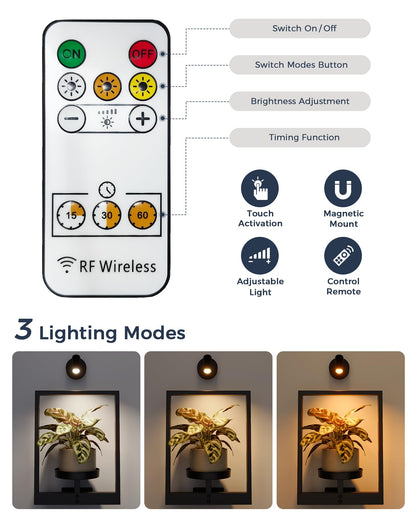 Bamworld Hanging Planters for Indoor Plants Wall Decor Living Room Plant Stand Indoor Wall Planters Plant Hanger Window Plant Shelves 3-Packs with Lights