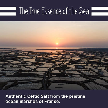 Le Marinier Celtic Salt Organic Fine Ground, 1 lb - 16oz. Mineral Rich 100% Natural and Unrefined. Refillable Salt Shaker. French Sea Salt with Vital Minerals. Hand Harvested (1 lb Fine Ground)