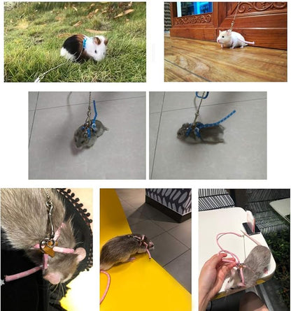 Adjustable Leash Harness with Bell for Rat Mouse Squirrel Guinea Pig Walking Training (Blue)