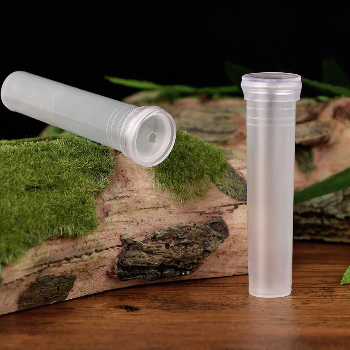 HOMOCONO 100pcs Small Hydroponic Plant Vases Glass Flower Propagation Tubes for Office Desktop Terrarium Plant Supply