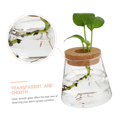 JUMPLAWN 2pcs Hydroponics Glass Planter Stylish Desktop Terrarium for Chic Water-Planting Vase for Indoor Gardening for Plant