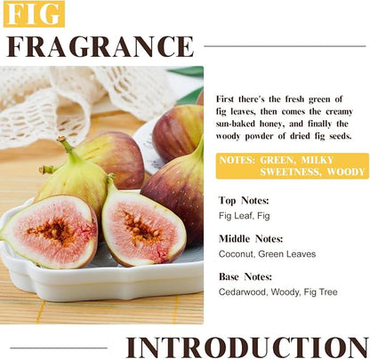 EUQEE Fig Fragrance Oil, Premium Fig Essential Oil 2.02 Fl oz with Glass Dropper for Diffusers, DIY Bath Bombs, Candle Making - 60ML