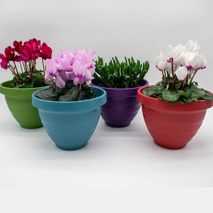 The HC Companies Rings Flower Planter - Self Watering Plant Pots for Herbs & More - Round Lightweight Outdoor & Indoor Planter (8" Blue, Pack of 2)