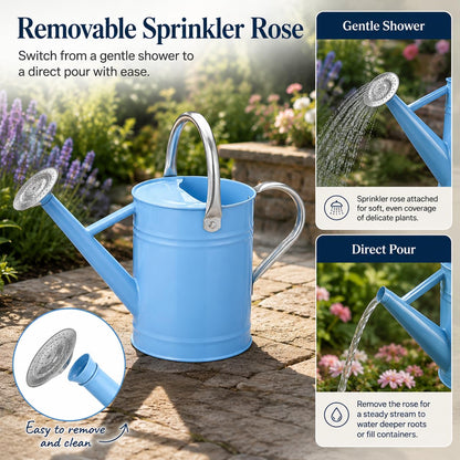 1 Gallon Metal Watering Can for Indoor Outdoor Plants, Galvanized Steel Watering Can with Removable Spout, 2 Stainless Steel Handles, Garden Flower Watering Pot