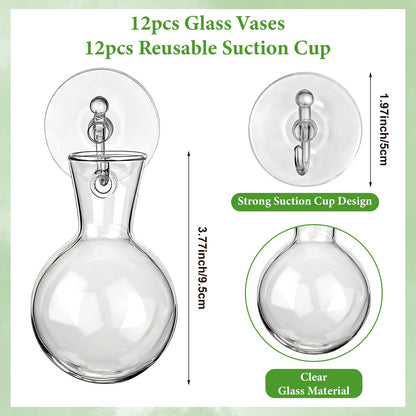 HCEWSBFD 12Pcs Window Propagation Stations Bulb Glass Vases with Suckion Cups Hooks Hydroponics Plant Propagation Vases No Nails Wall Hanging Planter for Water Plant Propagation Rooting Cuttings