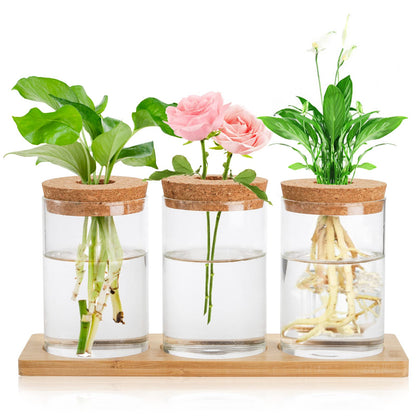 Lawei 3 Pcs Plant Terrarium Propagation Stations, Tabletop Glass Water Planting Glass Vase with Wooden Tray, Clear Jars Containers for Grow Hydroponic Plants Home Office Decoration