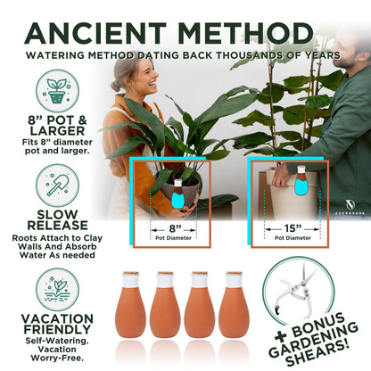 Everbrook Plant Self Watering Globes - Terracotta Watering Spikes - Slow Release Olla Watering Pots - Drip Irrigiation Olla System