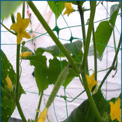HHTHH Green Trellis Netting 4x100 ft Heavy Duty Garden Netting Polypropylene Plant Support Net for Climbing Vegetables Fruits Flowers
