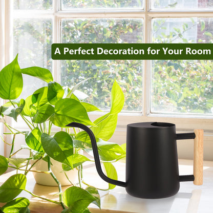 GUKJOB Plant Watering Can,35oz Metal Watering Can,Stainless Steel Indoor Plants with Long Curved Spout,Small Bonsai Outdoor Garden Modern Decorative(Black)