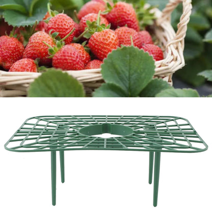 Sunicon 20Pcs Strawberry Supports, Detachable PP Waterproof Reusable Square Strawberry Growing Racks Plant Support Strawberry Stand Holder for Soil Planting Indoor Pots