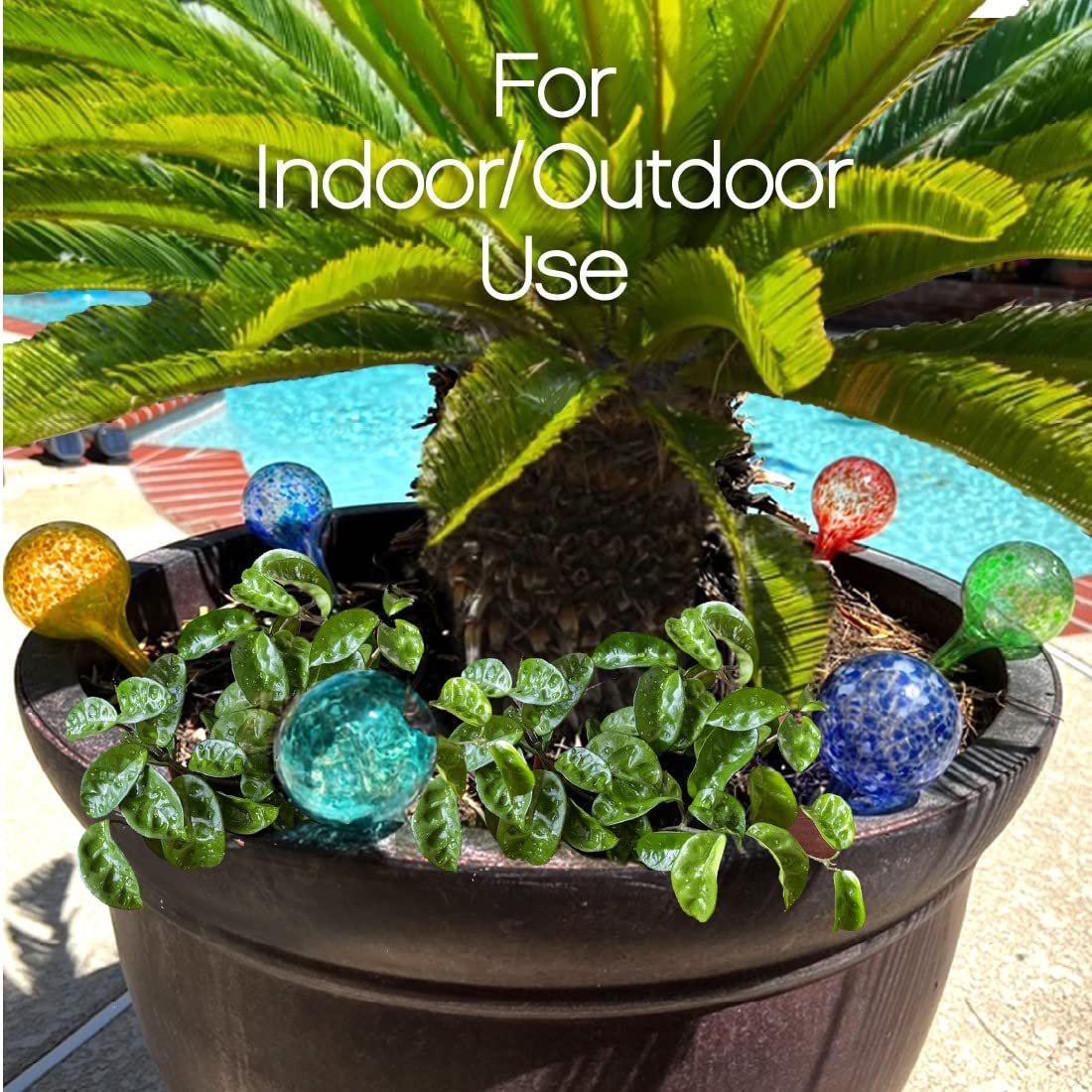 Trenton Gifts Plant Watering Globes - 6-Pack Self Watering Bulbs for Indoor and Outdoor Plants - Hand-Blown Decorative Glass Water Globes - 6" L x 2.5" D - 150ml