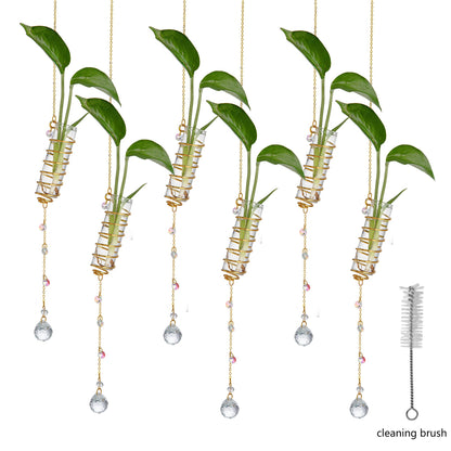 H&D HYALINE & DORA 6 Pcs Hanging Propagation Station with Crystal Ball Prisms Suncatcher and Cleaning Brush, Glass Wall Vases Crystals Prism Hanging Decor for Windows Home Wedding Decoration(Golden)