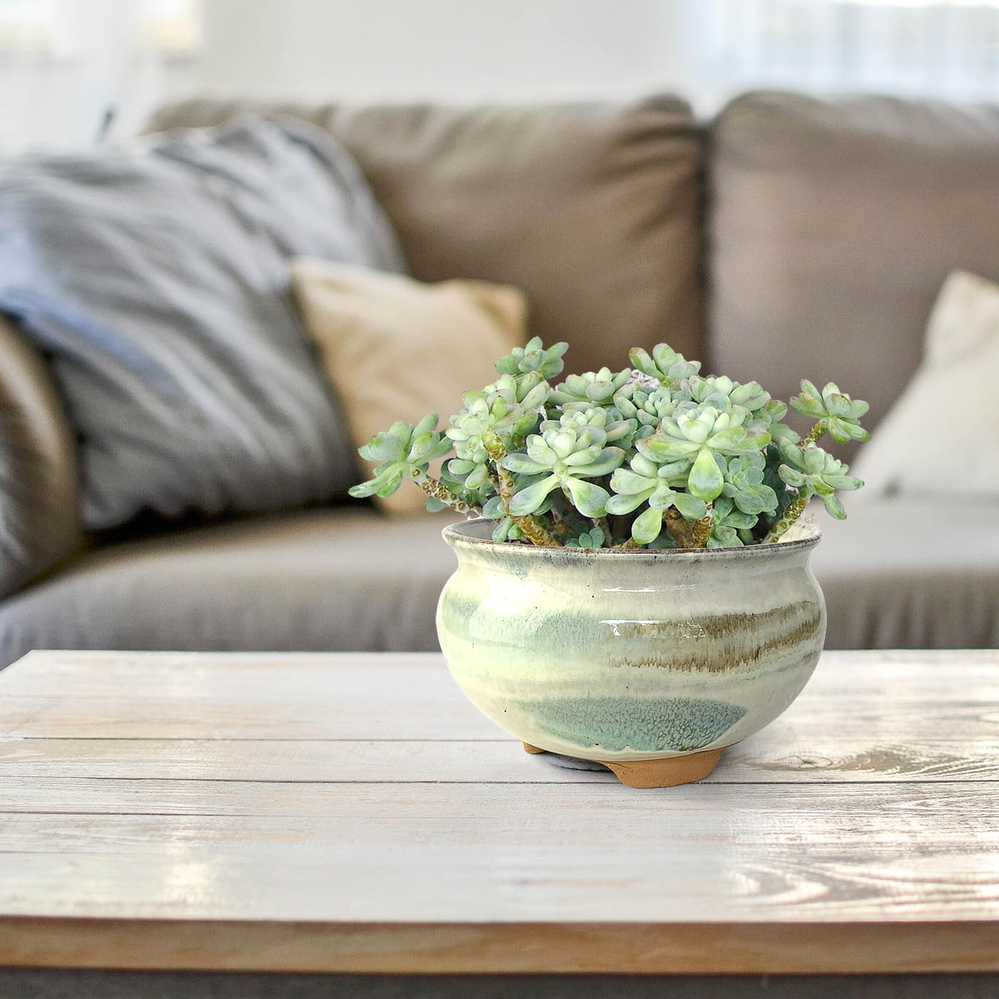 Summer Impressions 8 Inch Succulent Pot with Drainage and Saucer Glazed Terracotta Round Ceramic Succulent Planter Cactus Bonsai Plant Pot (Gream)