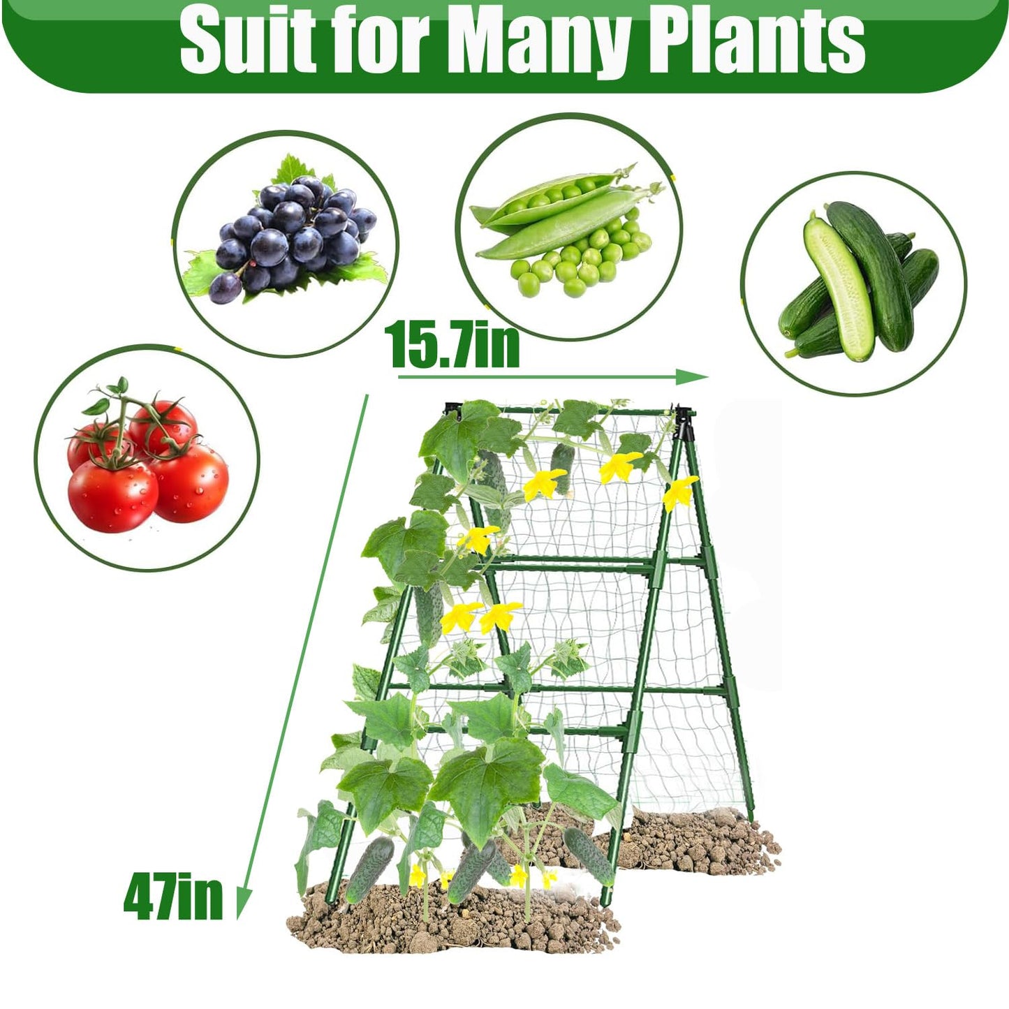 JK-GMTE Cucumber Trellises A Frame Plant Supports Green Trellis for Cucumber, Climbing Plants Vegetables Flowers (Green) 47x15in