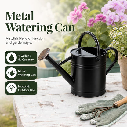 1 Gallon Metal Watering Can for Indoor Outdoor Plants, Galvanized Steel Watering Can with Removable Spout, 2 Stainless Steel Handles, Garden Flower Watering Pot