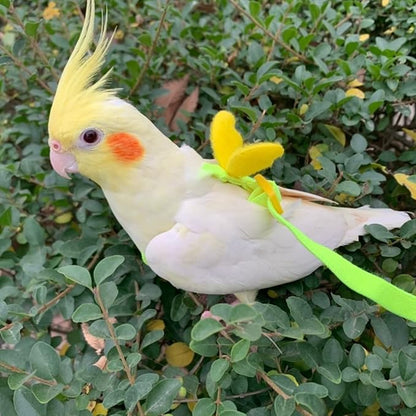 Pet Parrot Bird Harness Leash Adjustable Bird Flying Harness Traction Rope with Cute for Parrots Budgerigar Lovebird Cockatiel Mynah Outdoor Training Toy (Mannikin/Finch,Yellow)