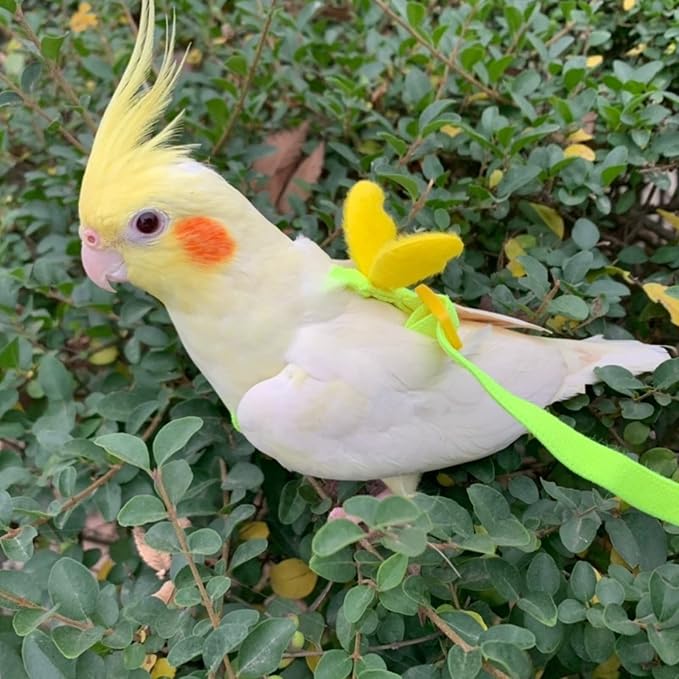 Pet Parrot Bird Harness Leash Adjustable Bird Flying Harness Traction Rope with Cute for Parrots Budgerigar Lovebird Cockatiel Mynah Outdoor Training Toy (Cockatiel/Green-cheeked Conure,Yellow)