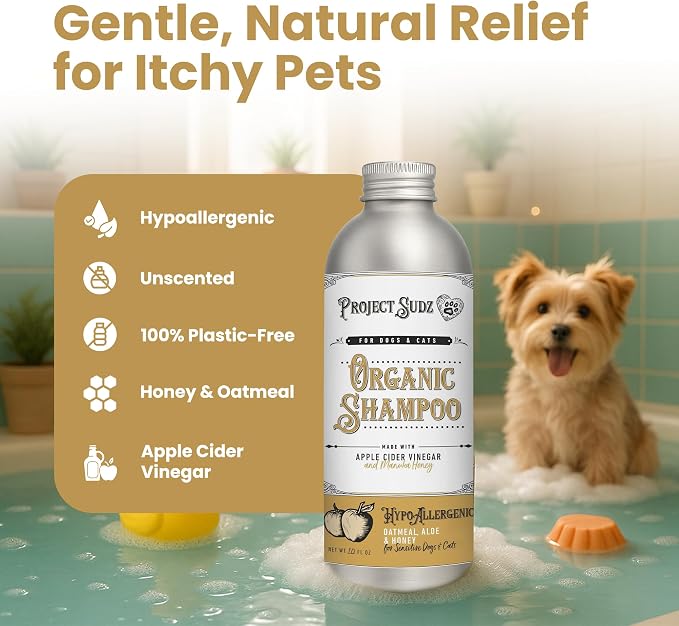 Project Sudz Hypoallergenic Dog Shampoo – Oatmeal & Honey | Extra Gentle, Unscented Pet Shampoo for Sensitive Skin | Safe for Puppies, Eco-Friendly & Made in USA