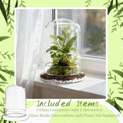 PEDOBALI 2 Pcs 5.9 x 8.46 Inch Glass Terrarium with Airhole and Base Clear Glass Dome Planter Display Container Plants Not Included for Office Desk, Balcony, Coffee Table