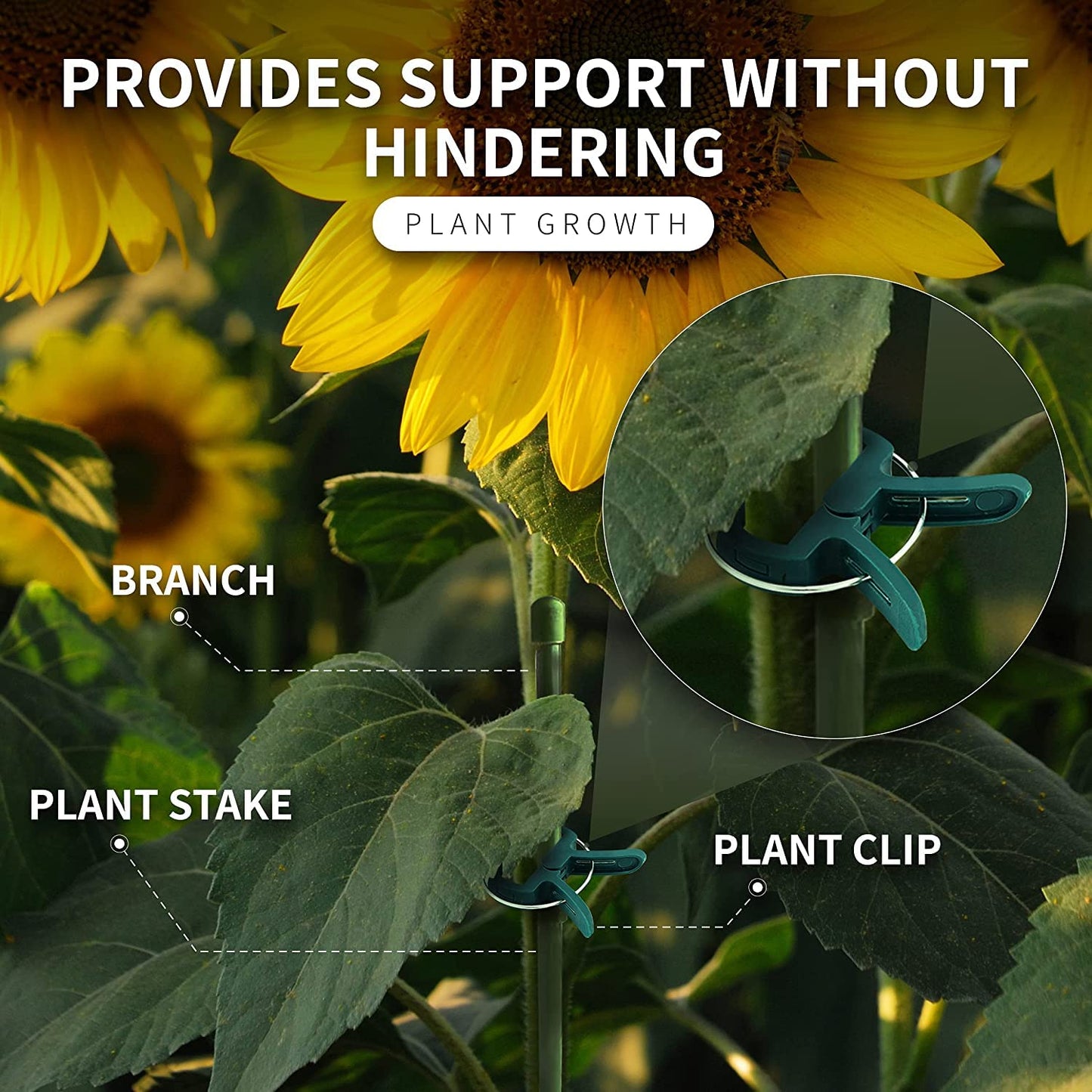 Plant Clips Green Gentle Gardening Plant & Flower Lever Loop Gripper Clips, Tool for Supporting or Straightening Plant Stems, Stalks, and Vines, Garden Clips, by RamPro (80 pc)