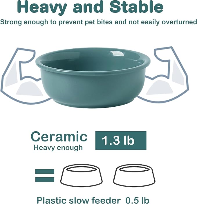 Wordcam 28oz Ceramic Dog Bowls, Durable Modern Pet Food and Water Bowls for Small Medium Dogs and Cats, Replacement Bowls for Wordcam SS03 Model (Dark Green)