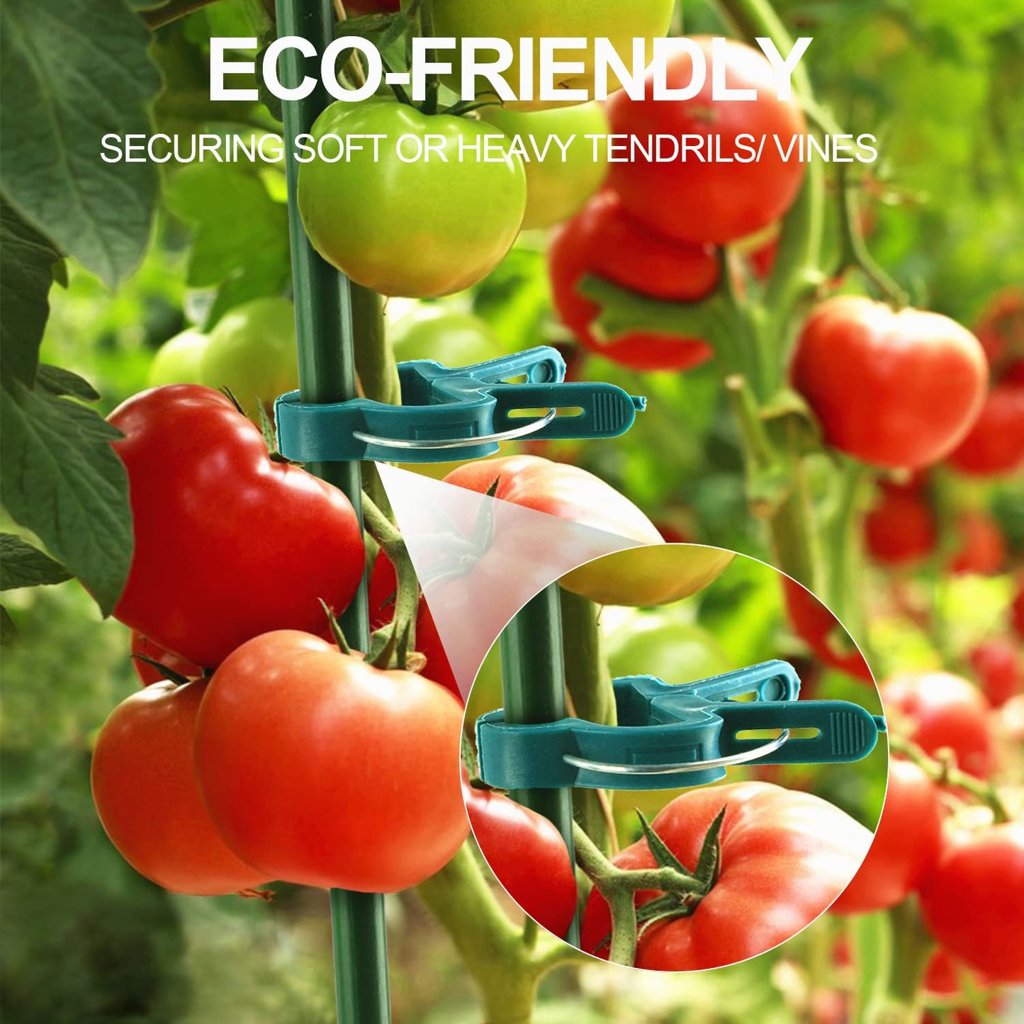 Yinghezu 80 Pcs Plant Support Clips,Flower and Vine,Garden Tomato Plant Support Clips for Supporting Stems,Vines Grow Upright Climbing,Tool for Straightening,Tomato Cage,Trellis. 2 Sizes in one Pack